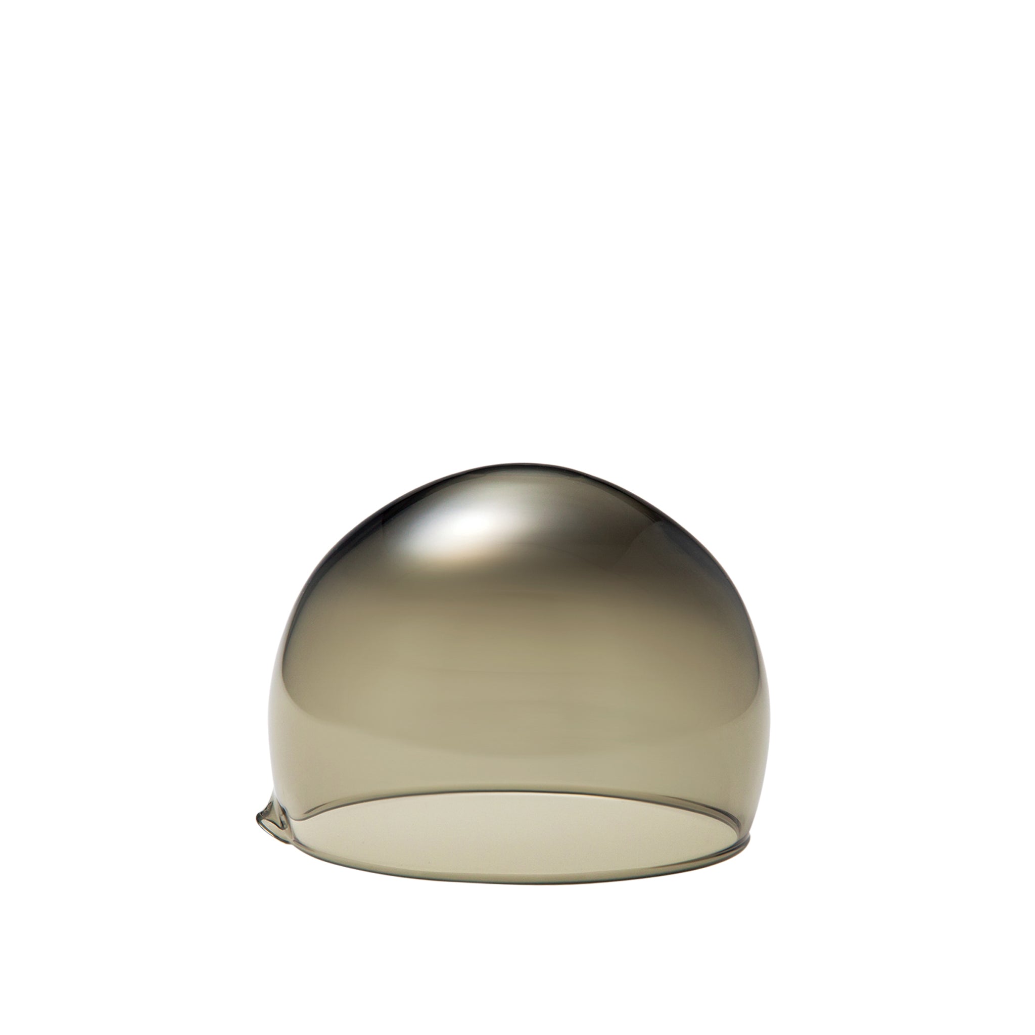3DOME - Food cover Carbon, W3.9"/4.3"