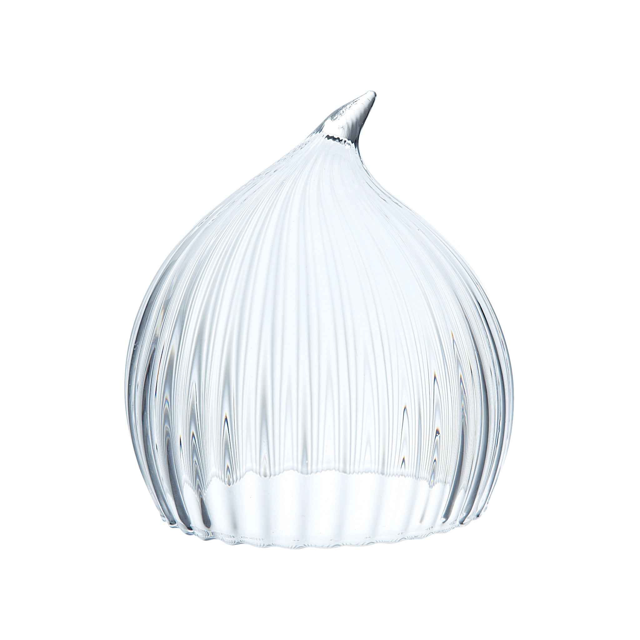 TORETATE - Onion, Clear