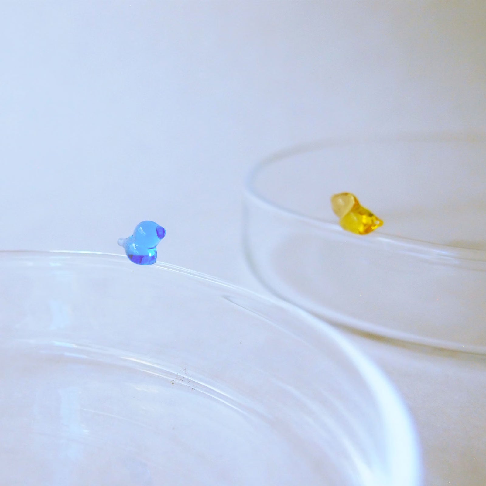 [NEW] CHIISANA TORI - Tray, Cobalt Blue