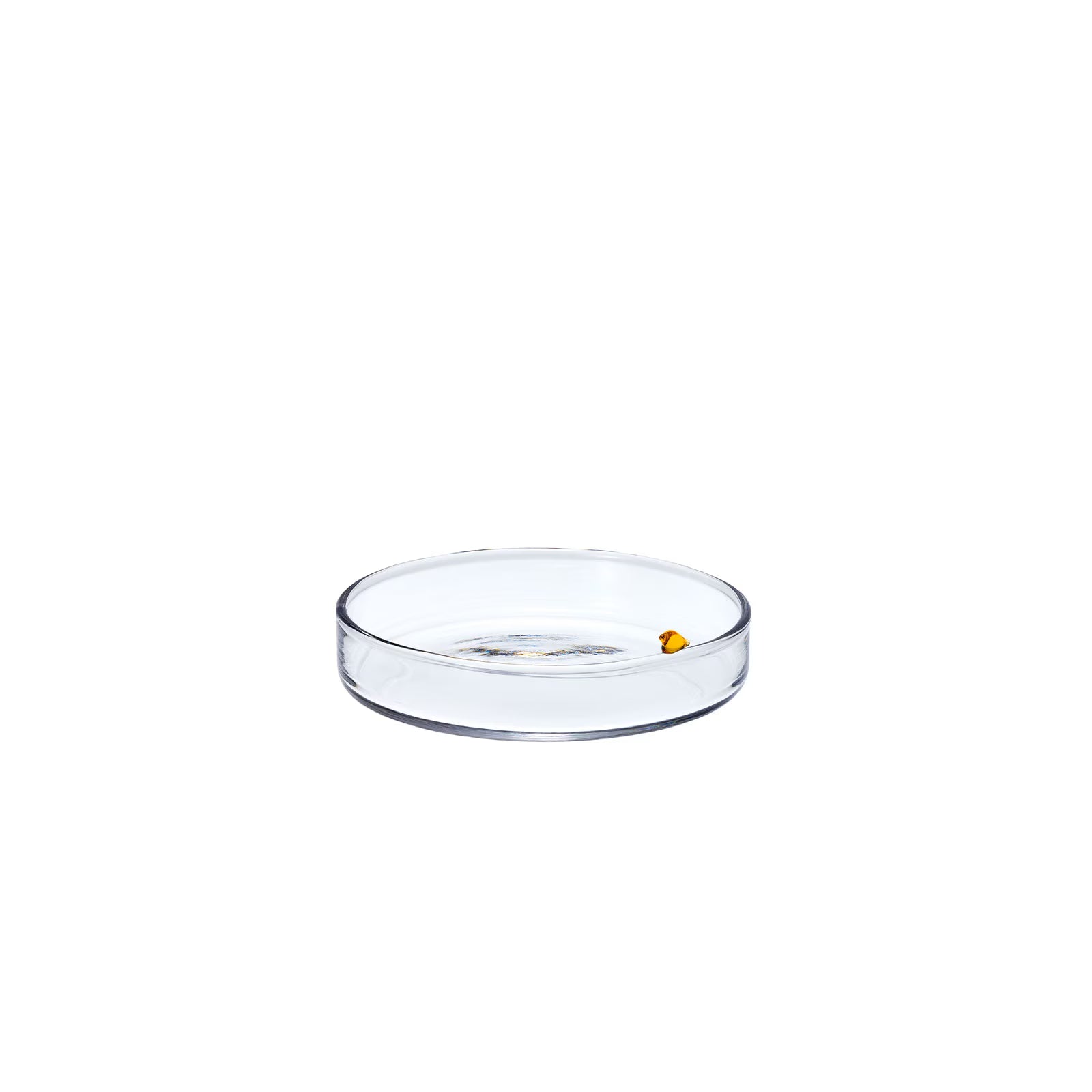 [NEW] CHIISANA TORI - Tray, Amber