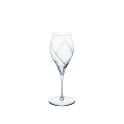 BIRTH - Champagne Glass Clear, 10.5oz