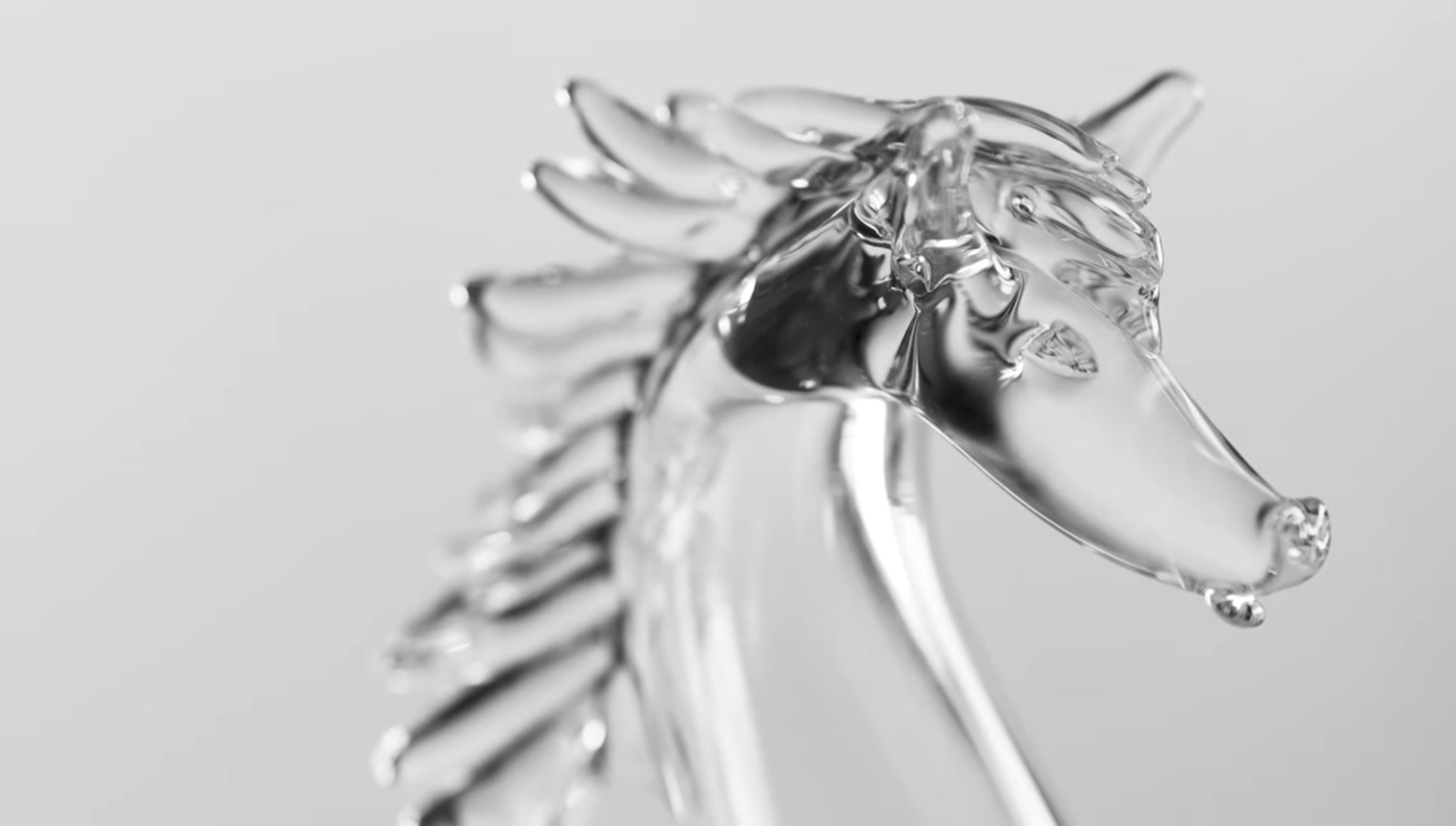 DERBY - Violet